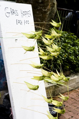 Pandanus Grasshoppers For Sale Penang Hill